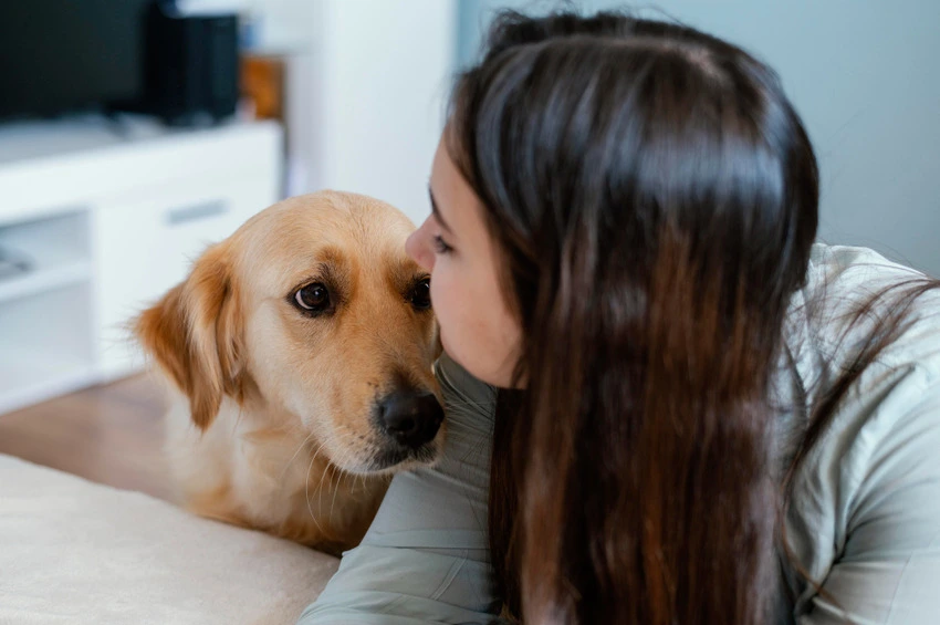 Tips for Boarding a Dog with Separation Anxiety