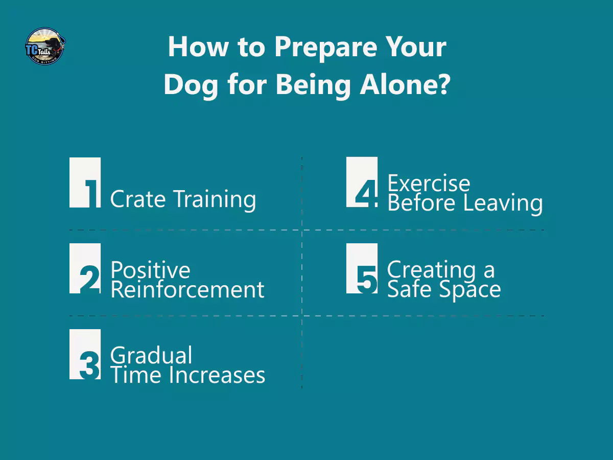 how to prepare your dog for being alone