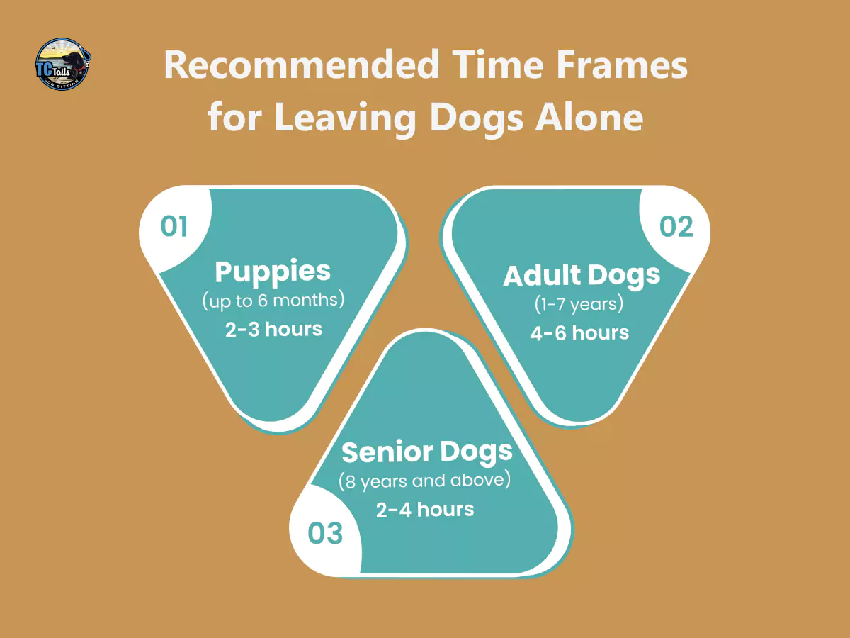 recommended-time-frames-for-leaving-dogs-alone