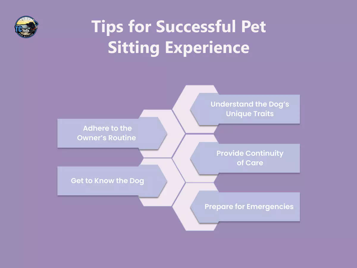 tips for successful pet sitting experience