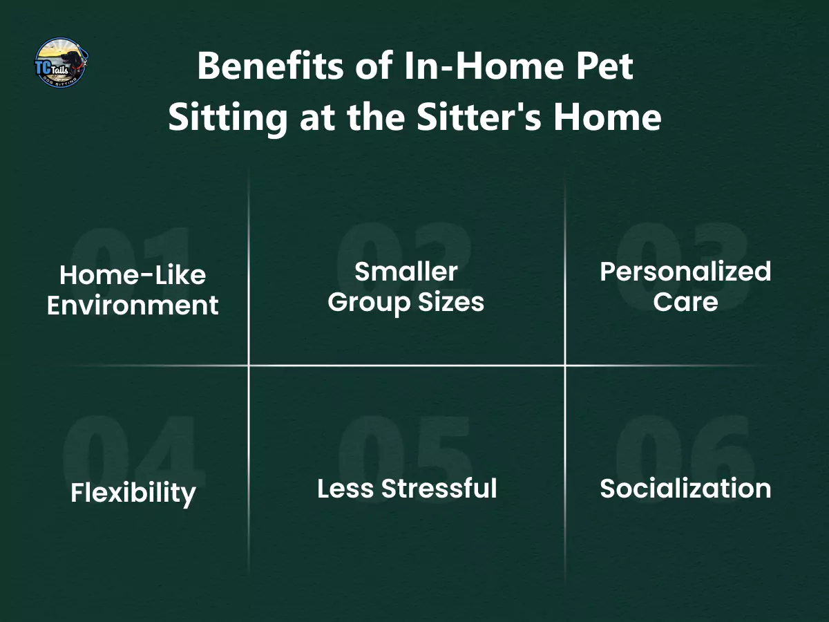 benefits-of-in-home-pet-sitting-at-the-sitters-home