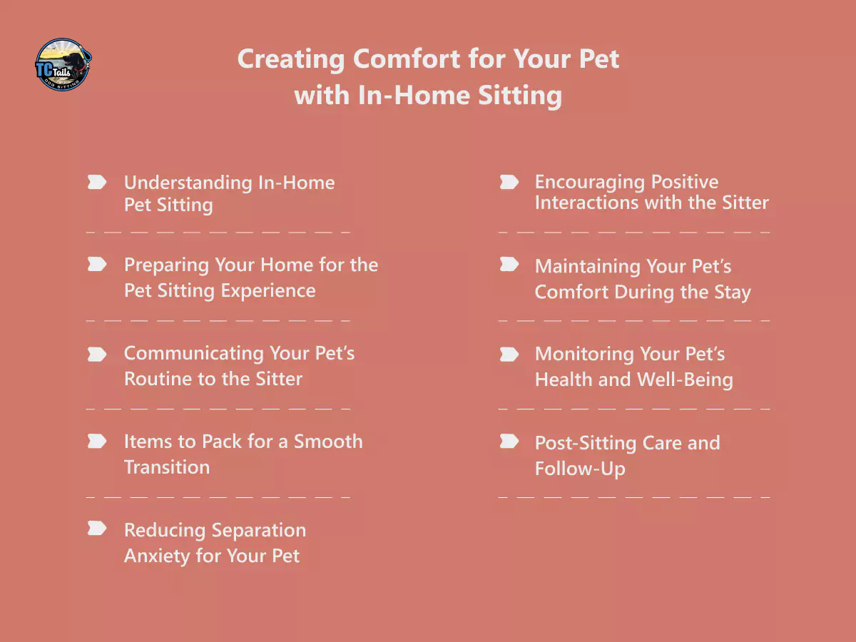 creating-comfort-for-your-pet-in-home-sitting