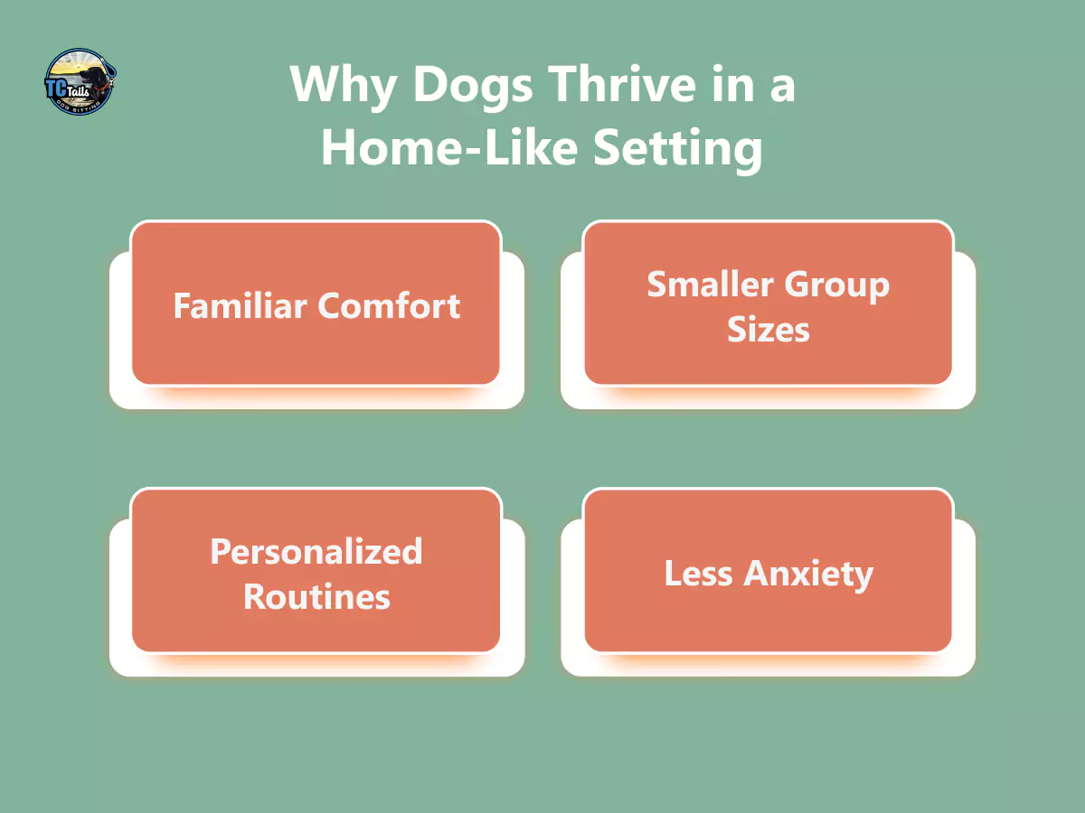 why-dogs-thrive-in-a-home-like-setting