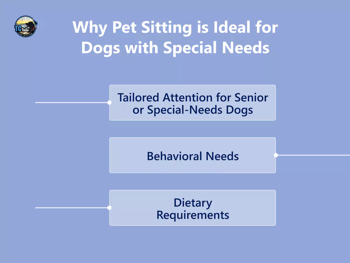 why pet sitting is ideal for dogs with special needs