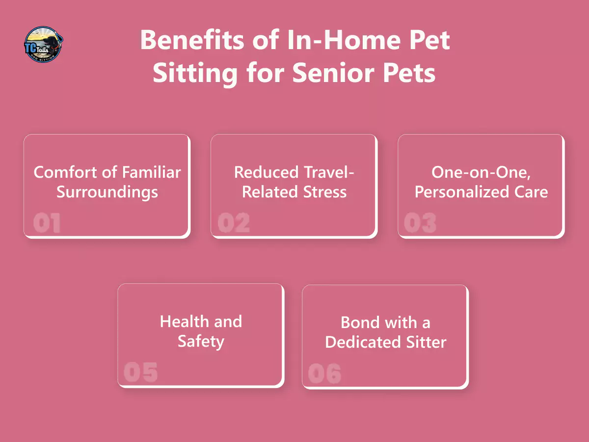 benefits-of-in-home-pet-sitting-for-senior-pets