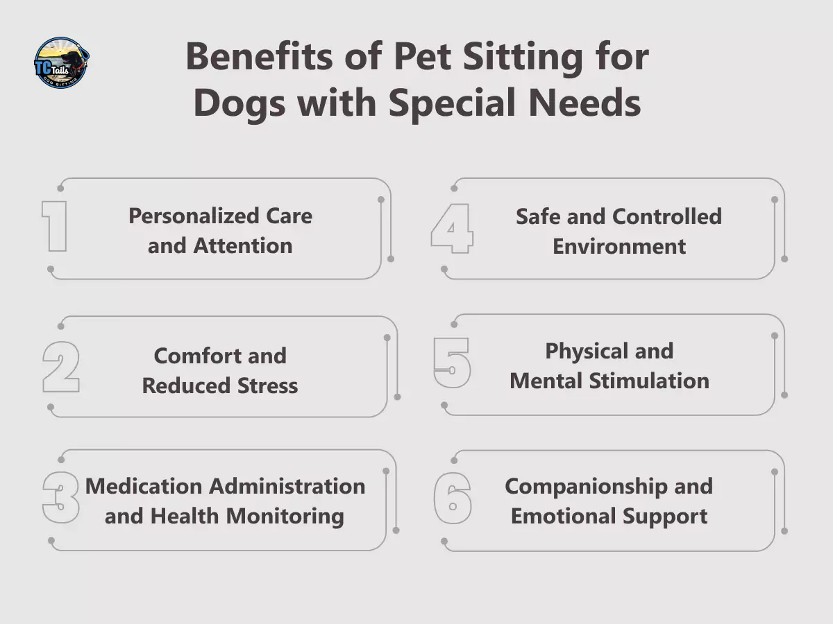 benefits-of-pet-sitting-for-dogs-with-special-need