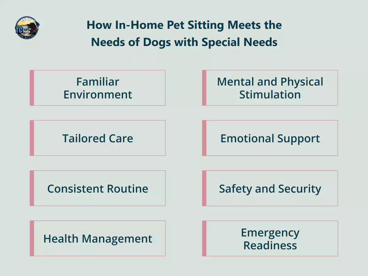 how-in-home-pet-sitting-meets-the-needs-of-dogs-with-special-needs