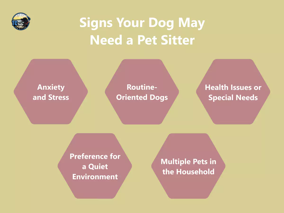 signs-your-dog-may-need-a-pet-sitter