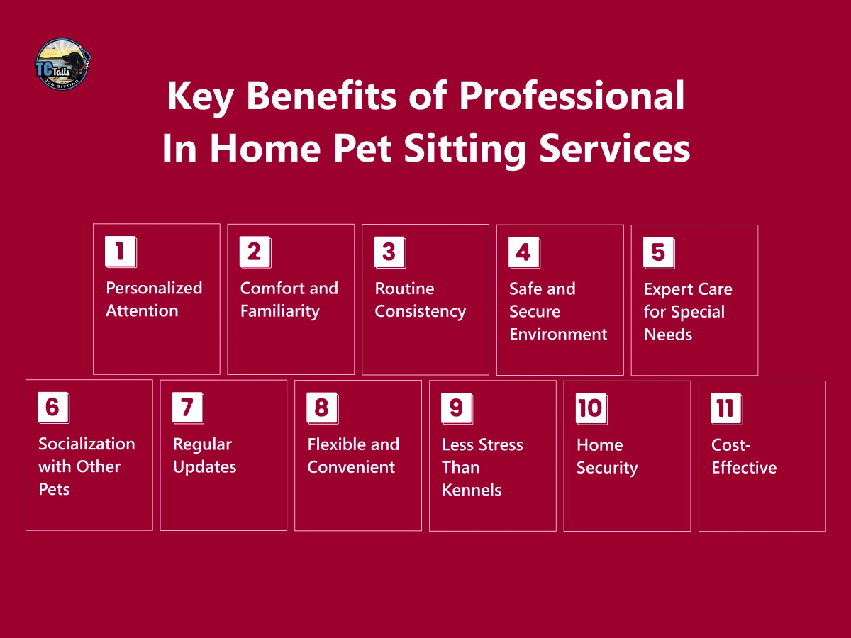 choosing the best stress free holiday pet sitting service