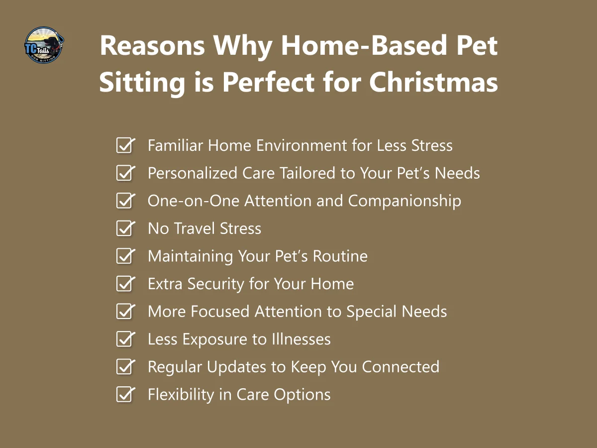 reasons why home based pet sitting is perfect for christmas