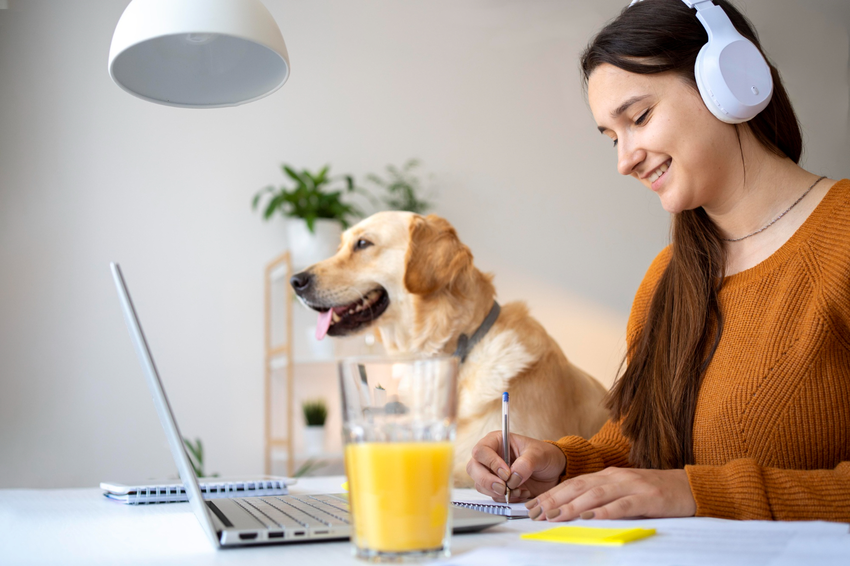 how to keep your pet routine with a pet sitter