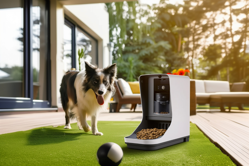 future of dog sitting ai virtual check ins