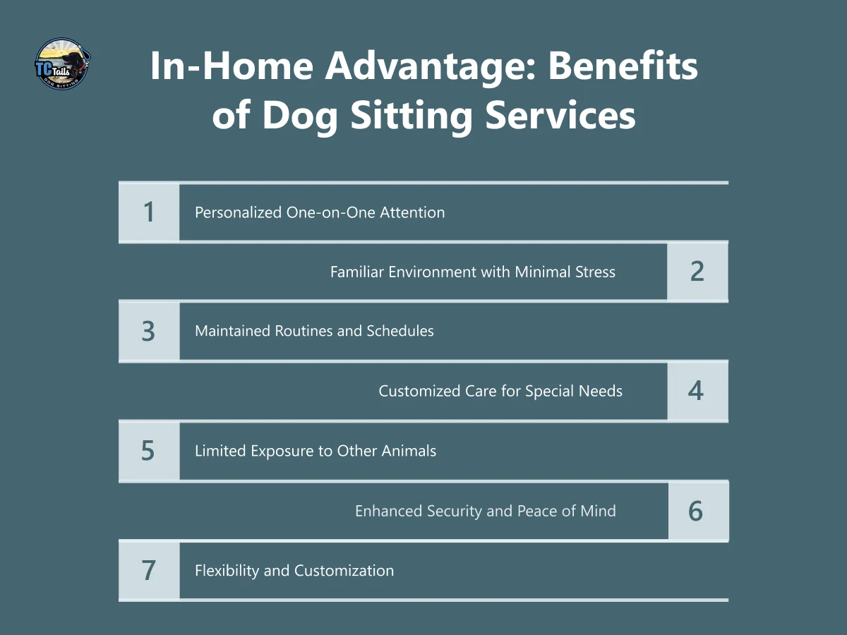 The In-Home Advantage: Benefits of Dog Sitting Services