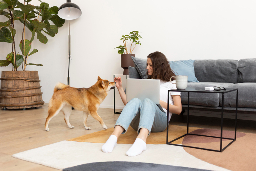 switching your dog from dog kennels to in home dog sitting