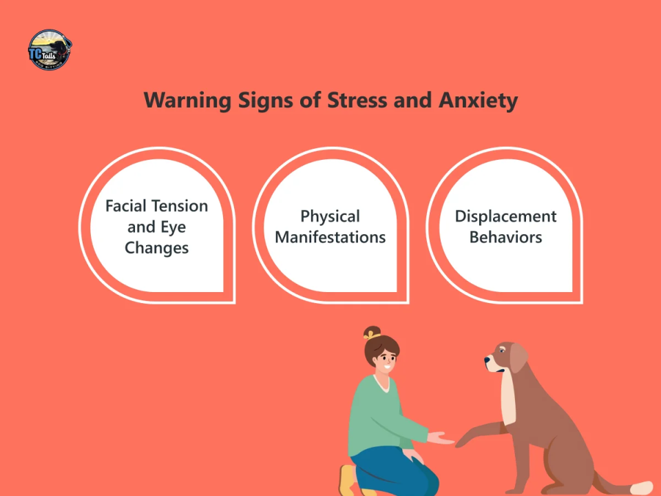 Warning Signs of Stress and Anxiety