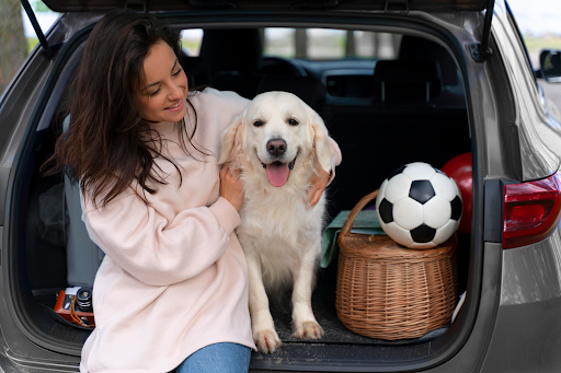 What to Pack for Your Dog's Stay at a Boarding Facility
