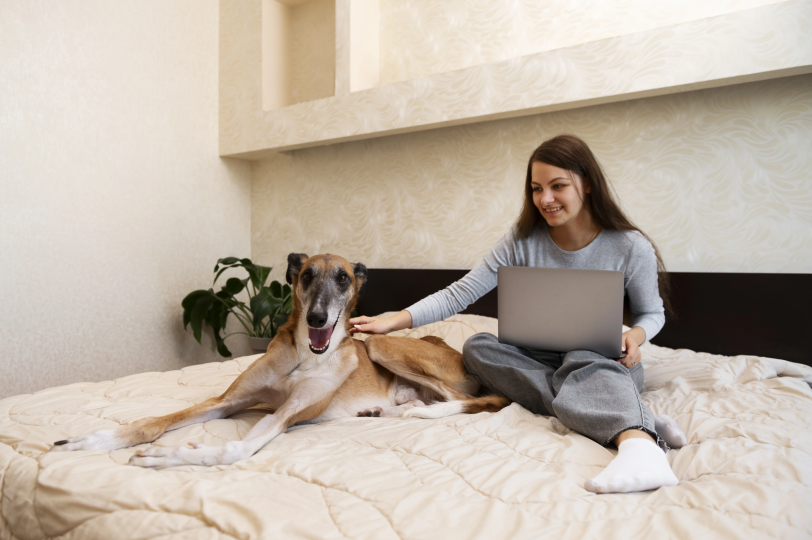 What Your Dog Actually Experiences During an Overnight Stay