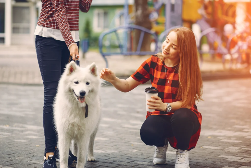 Dog Boarding Traverse City: What Your Dog Actually Experiences Each Day