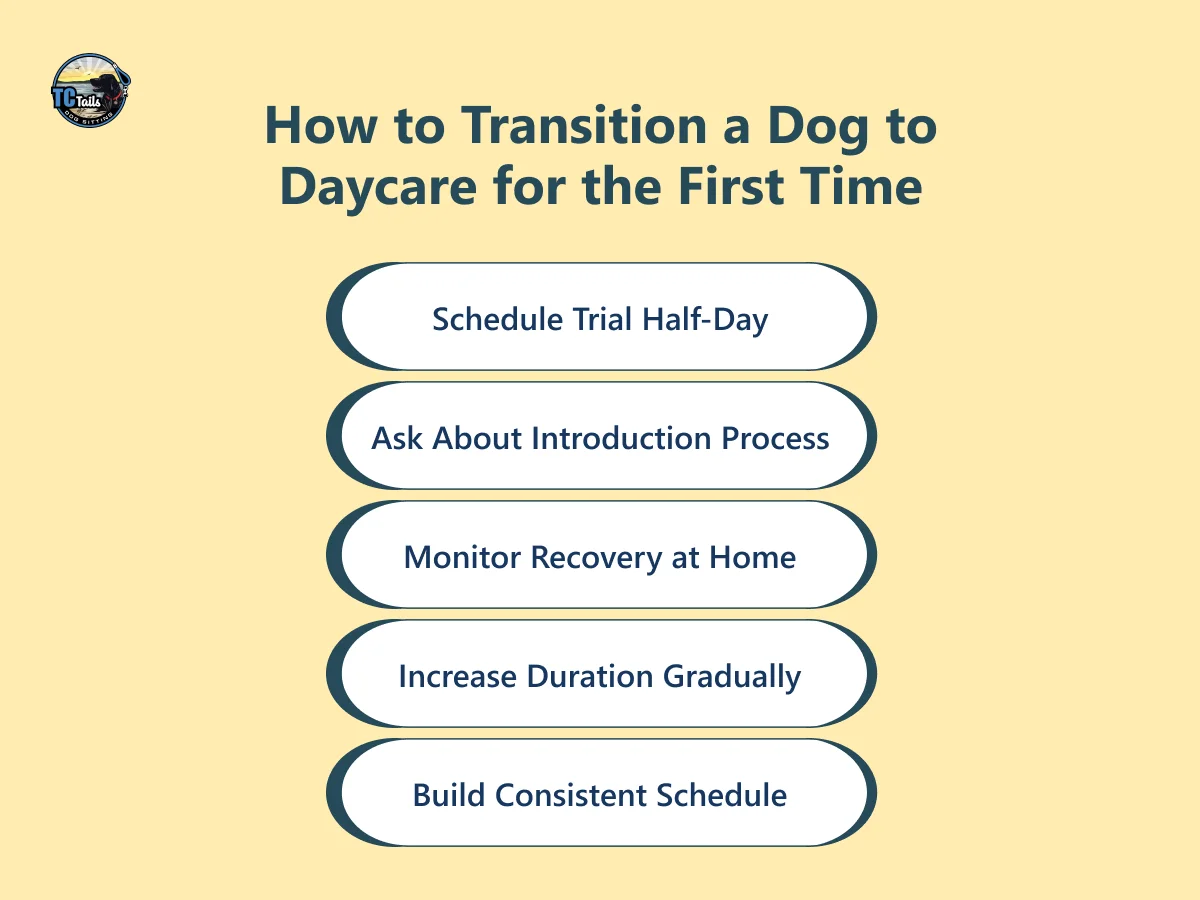 How to Transition a Dog to Daycare for the First Time