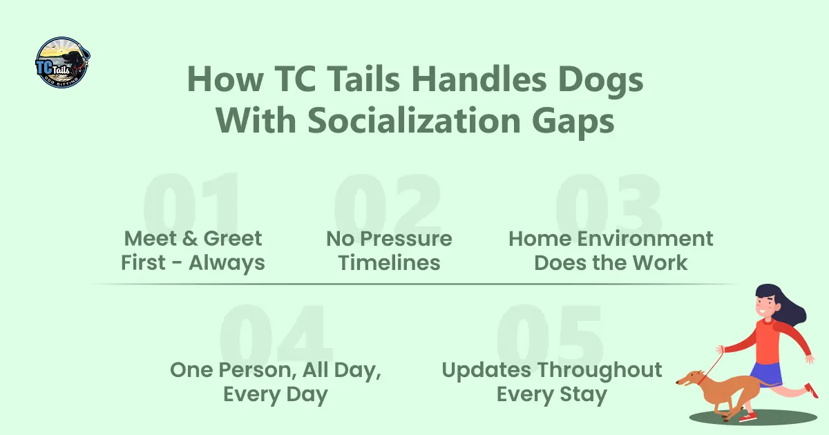 How TC Tails Handles Dogs With Socialization Gaps